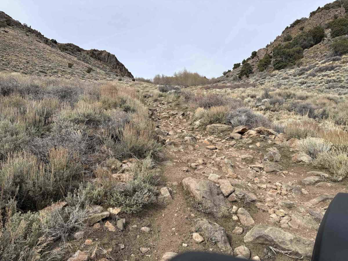Campbell & Smith Creek Jeep Trail photo 2