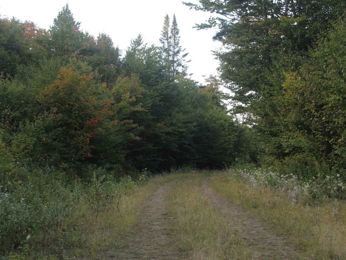 Gordons Trail photo 4