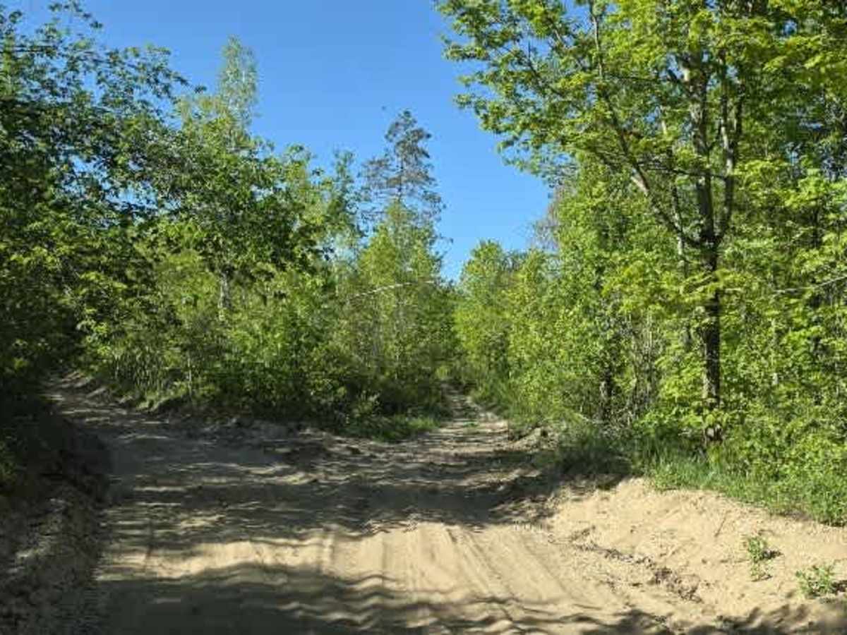 Wolf Run trail photo