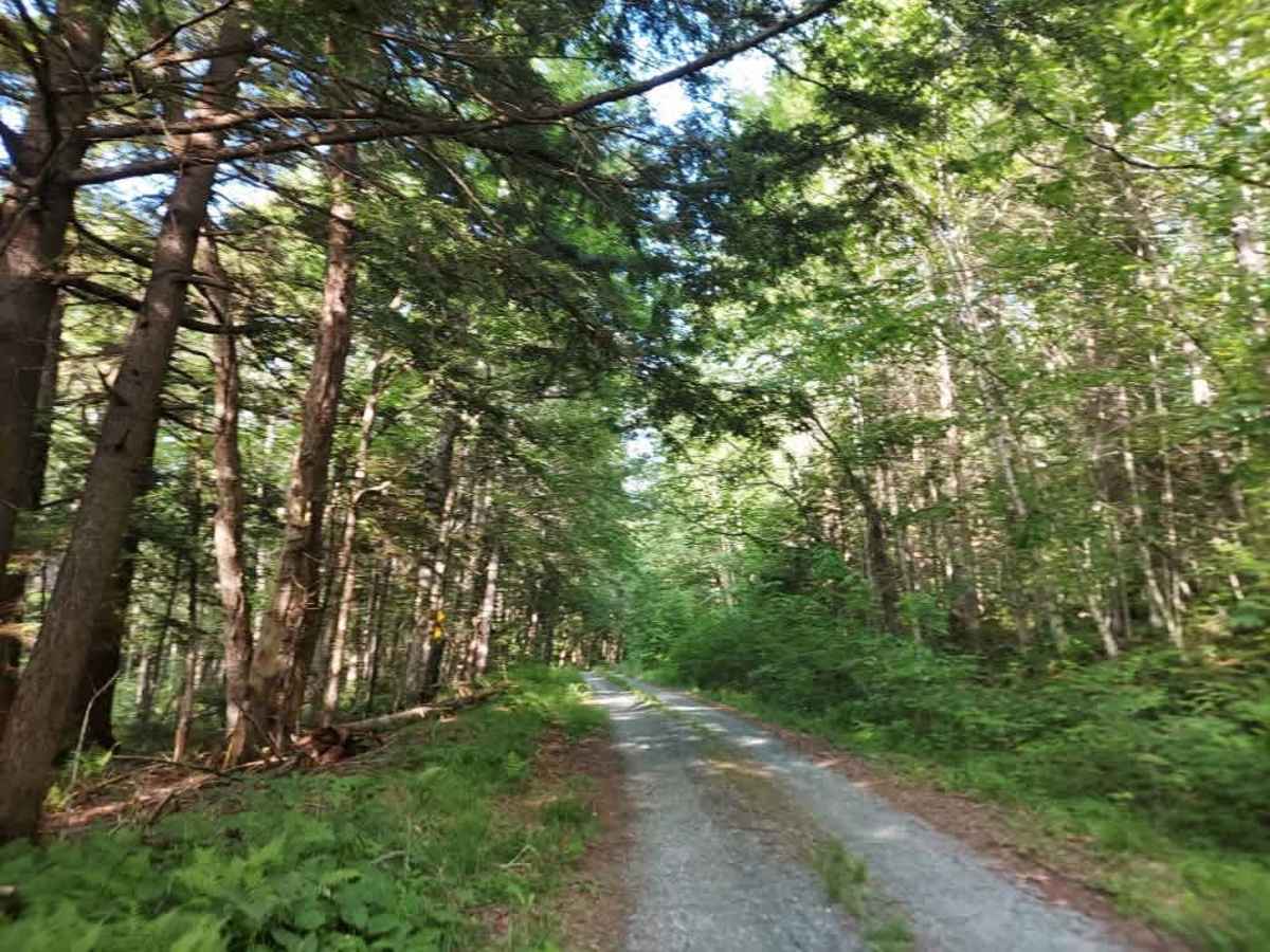 Tabor Brook Trail photo 4