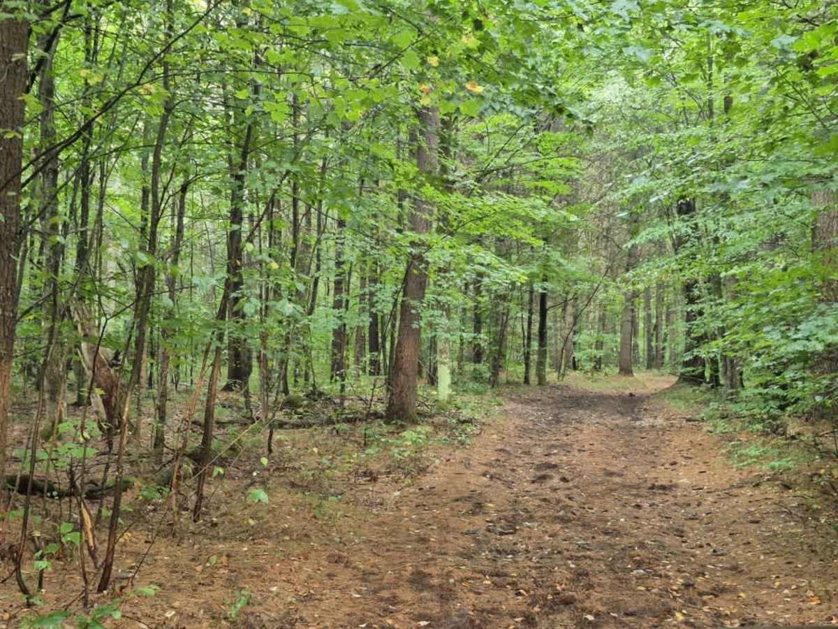Shortcut Road photo 6