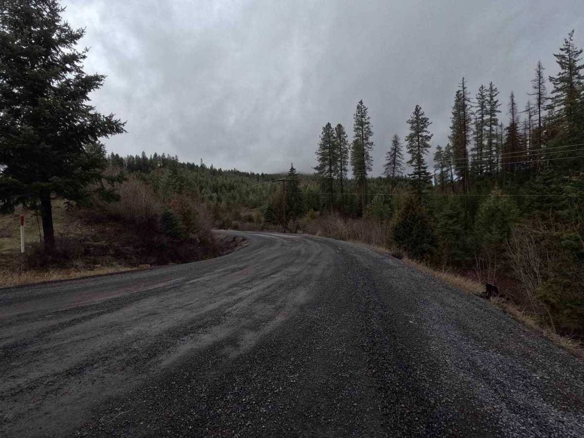 Brush Creek - Trail 289 trail photo