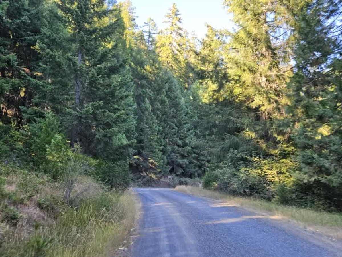 FS 3230000 trail photo