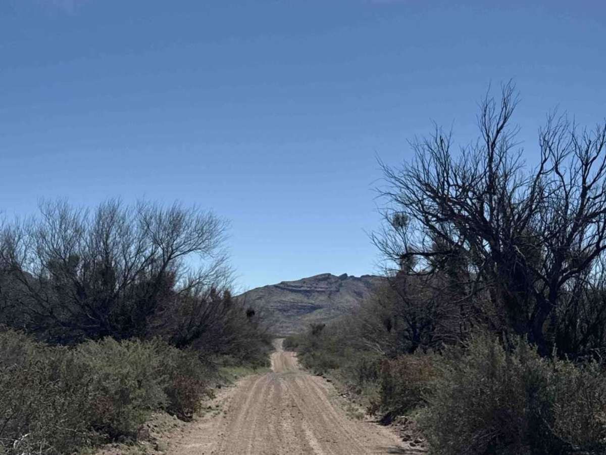 Ss1037 photo 6