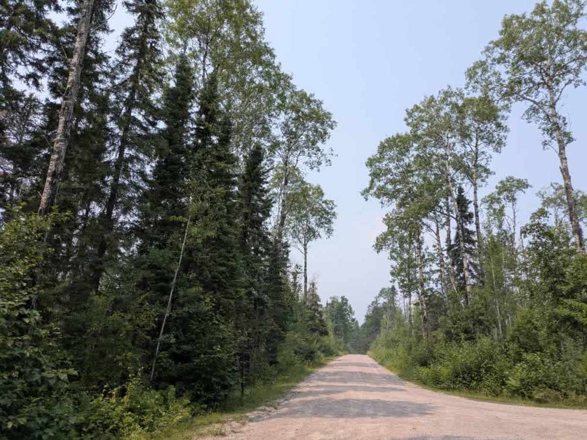 Birch Lake trail photo