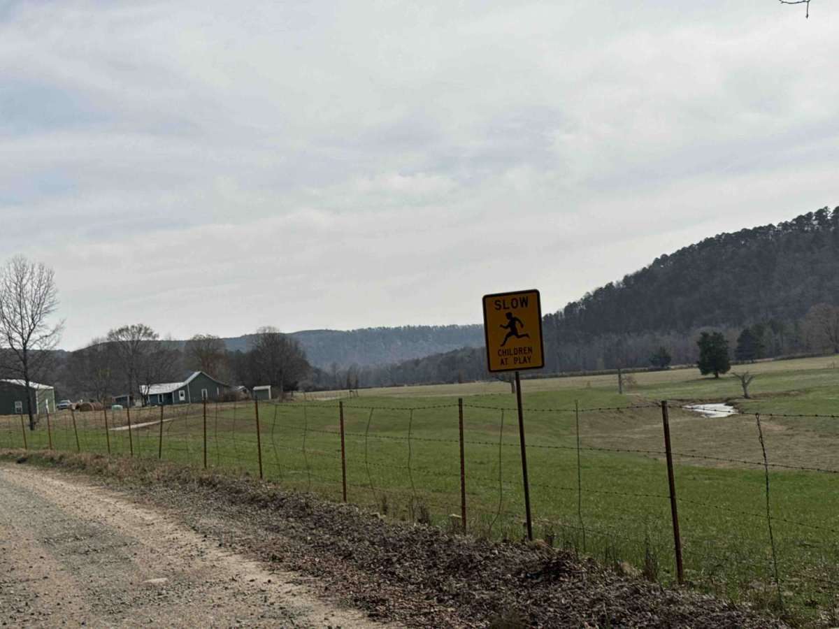 Jakes Creek Road photo 5