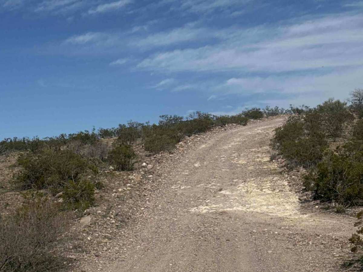 Fh1029 photo 2