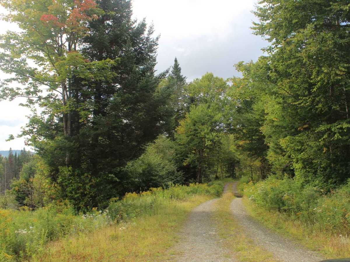 Lamb Valley Brook Trail photo 3