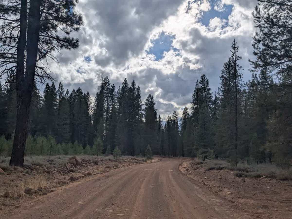 Bridge Creek Springs Road photo 4