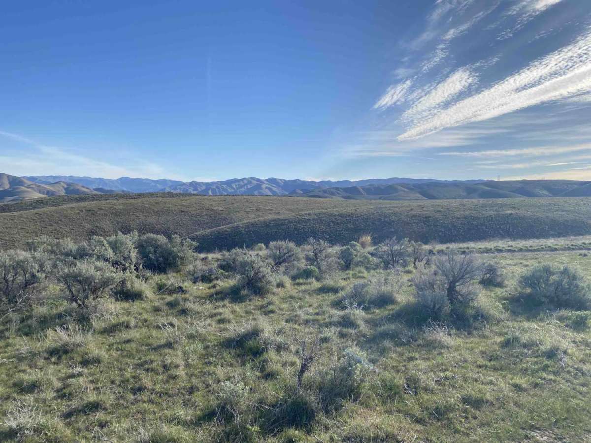 Oregon Trail photo 5