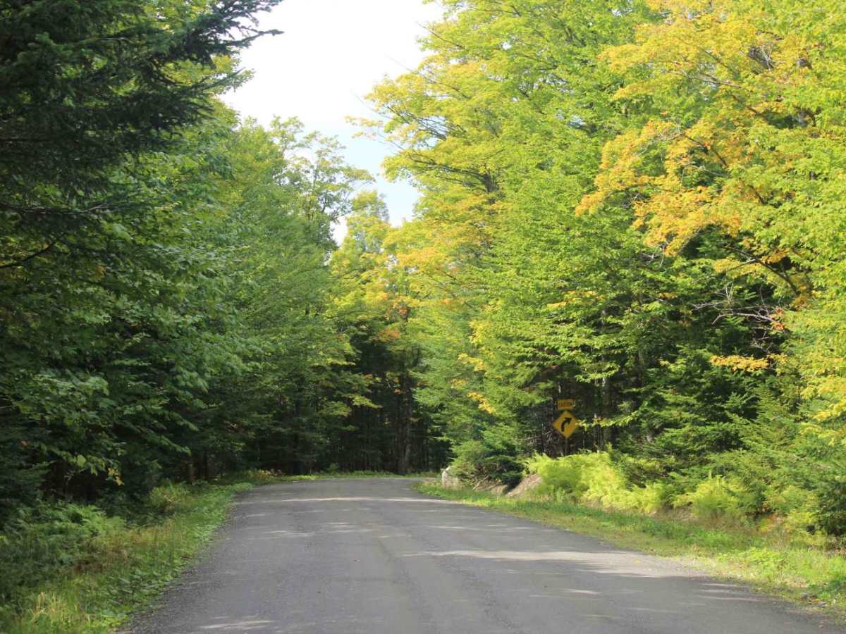 Round Pond Road photo 4