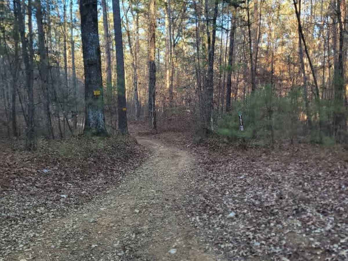 181-O trail photo