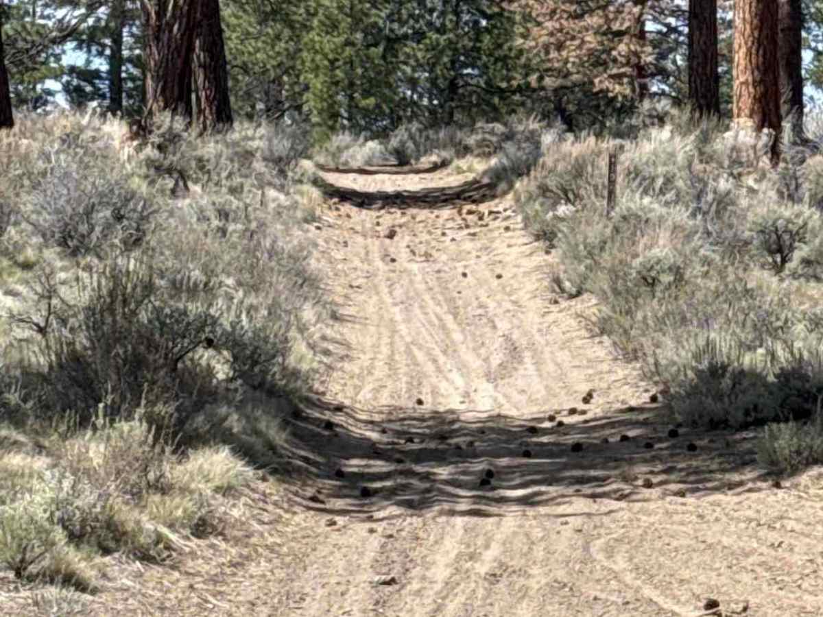 East Fort Rock - OHV Trail 10 photo 6