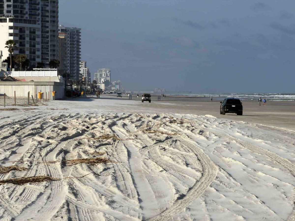Daytona Beach photo 3