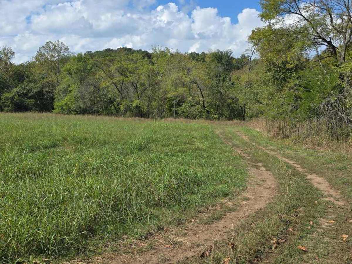 Hay Field Trail trail photo