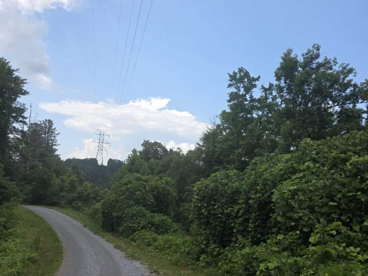 Ridge Road photo 2