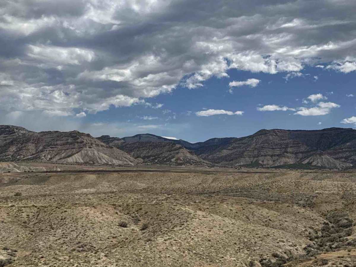 BLM 210 photo 4