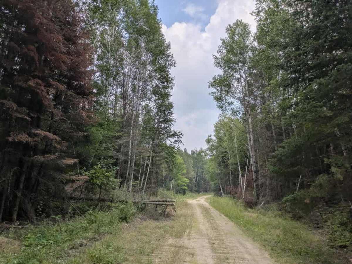 Indian Hill photo 2