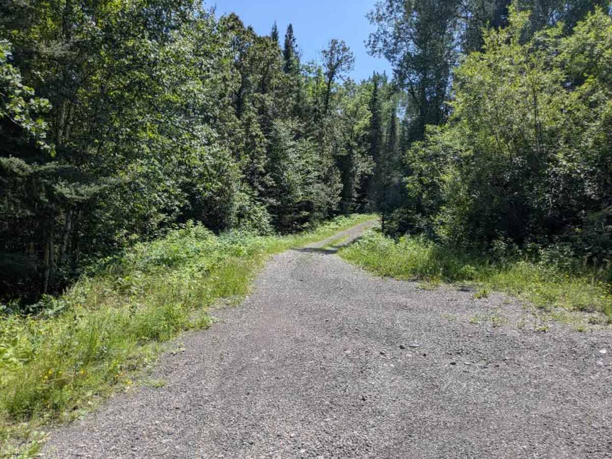 Shoe Lake Road trail photo