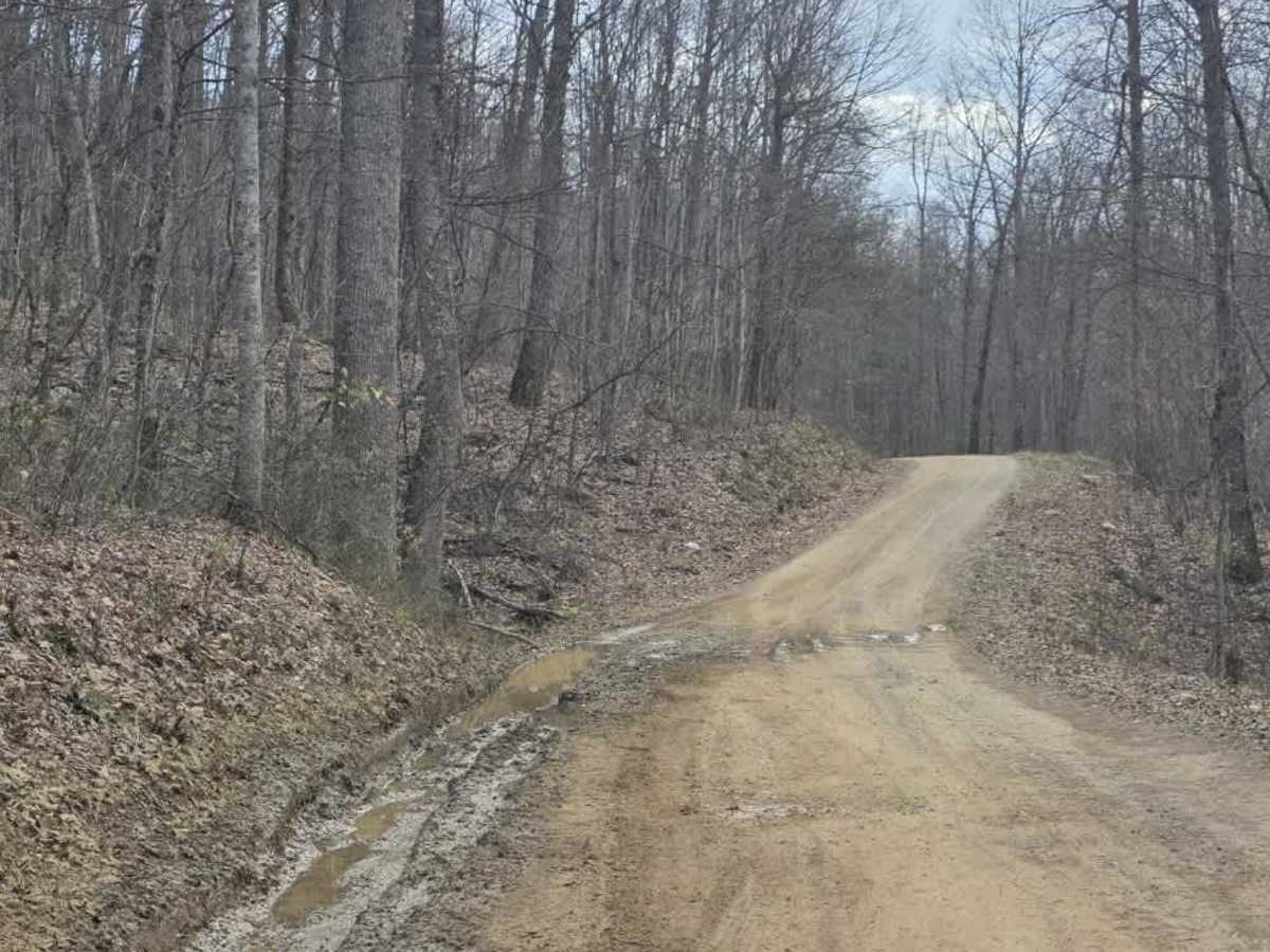 Big Creek Road photo 3