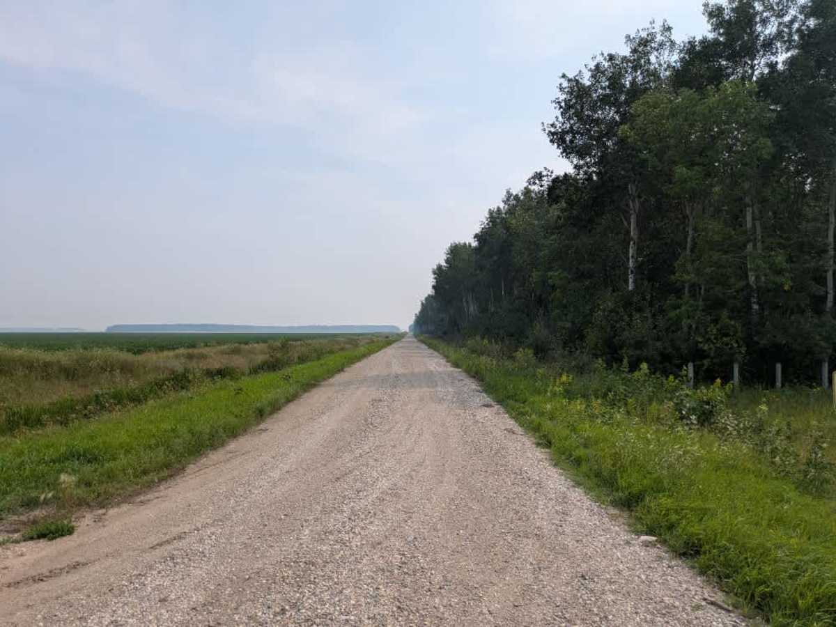 County Road 44 trail photo