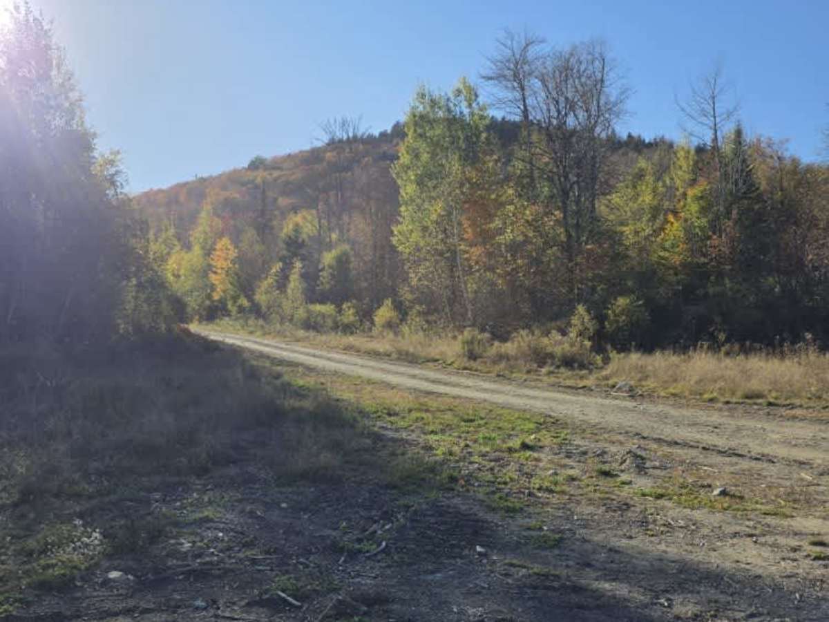 Abbott Road / Parmachenee Road trail photo