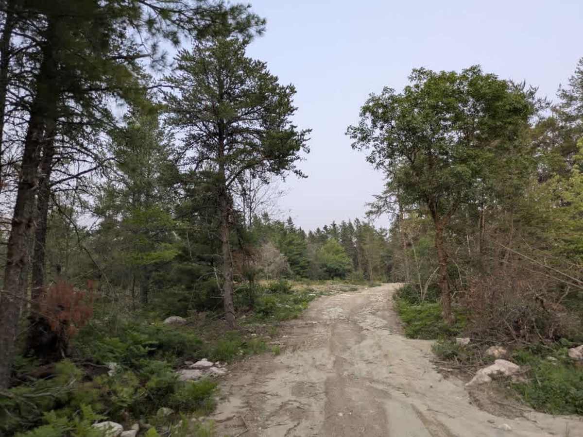 Maude Lake photo 6