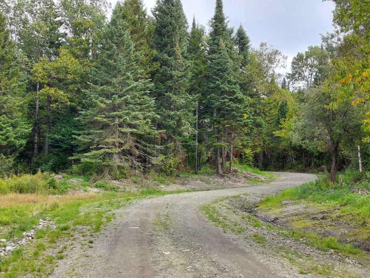Indian Stream Road North photo 6
