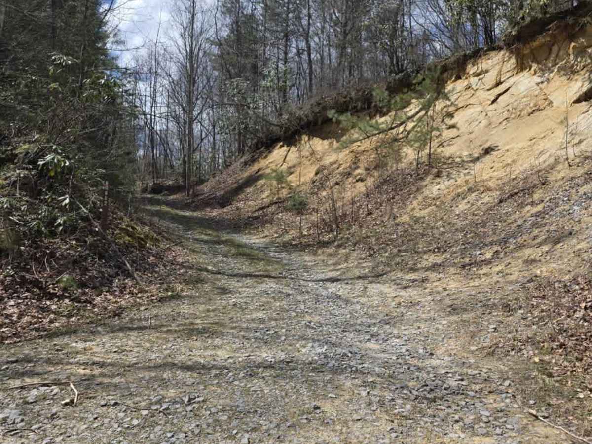 McQueen's Gap Spur - FS 60902 trail photo