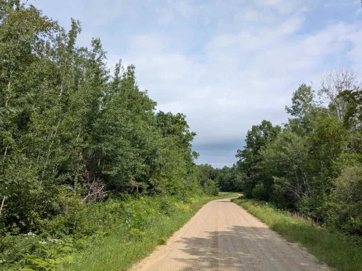 County 39 Northeast photo 6