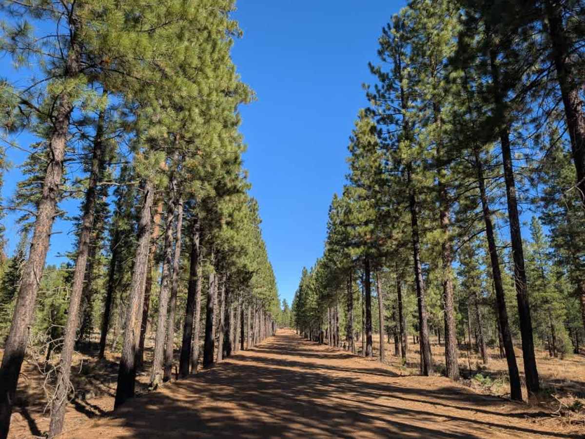 FS 32N22 trail photo