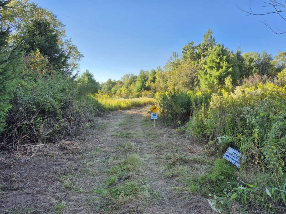 Byron Corners Orchard photo 4