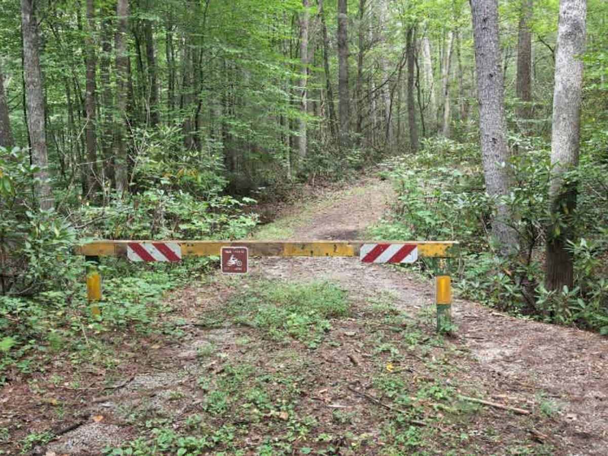 Virginia Highlands Horse Trail Spur D photo 3