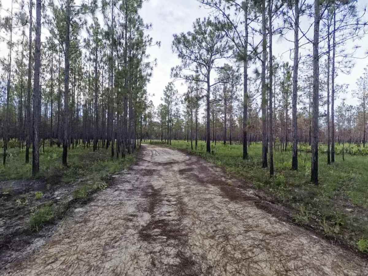 Nolan Ridge Road photo 4