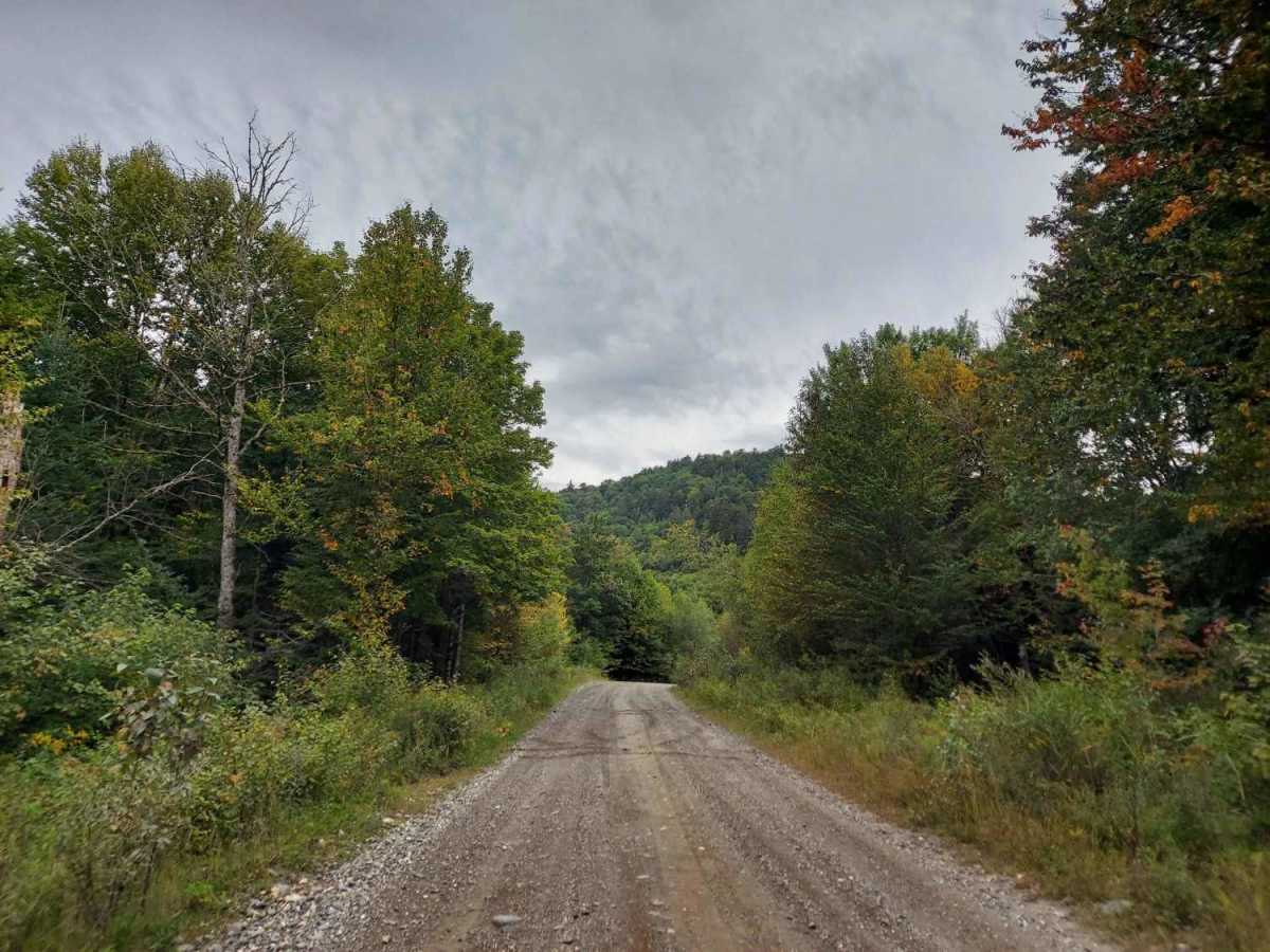Moose Pond Road photo 6