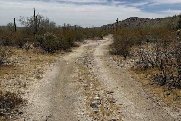 Creosote Run