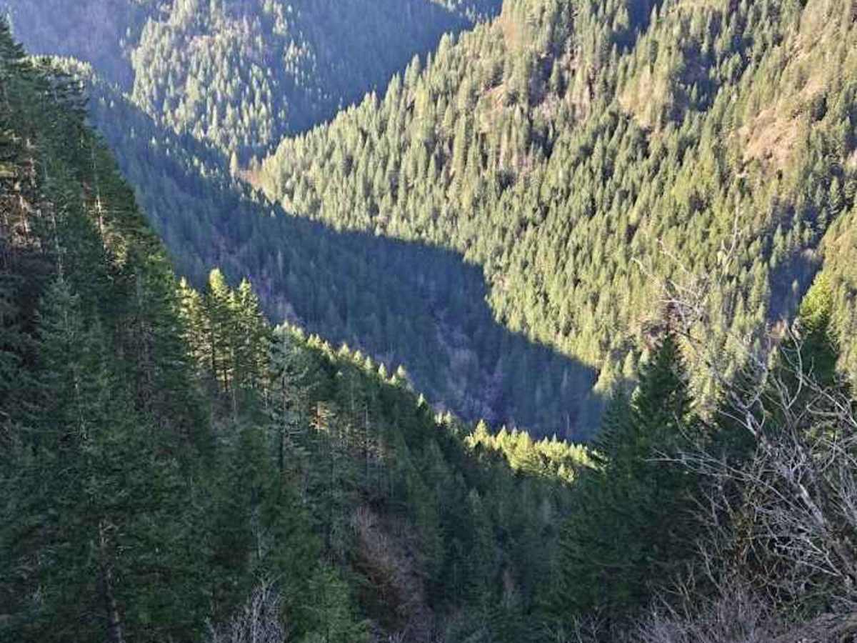 Idiot Creek Road photo 3