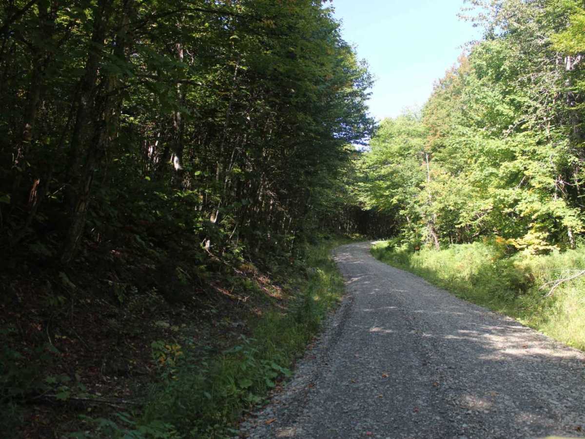 Beaman Hill Trail photo 4