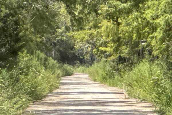Dixie Mainline Road