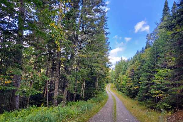 Scott Bog Road