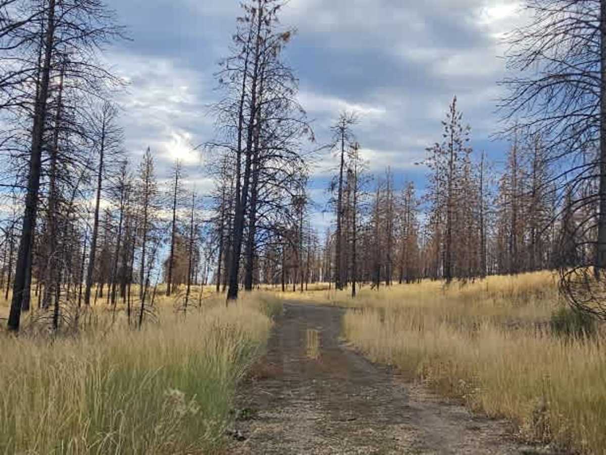 FS 5870500 trail photo