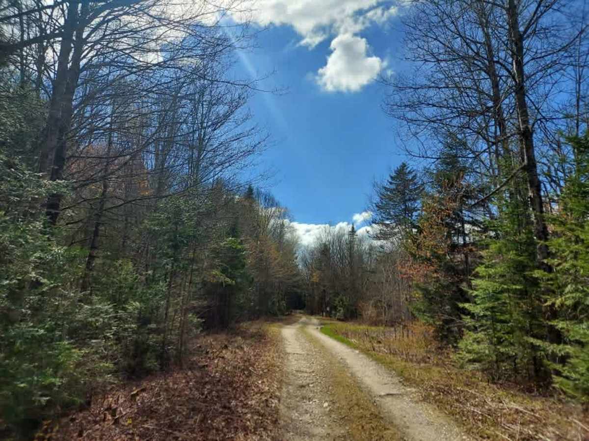 Castle Brook Trail photo 3