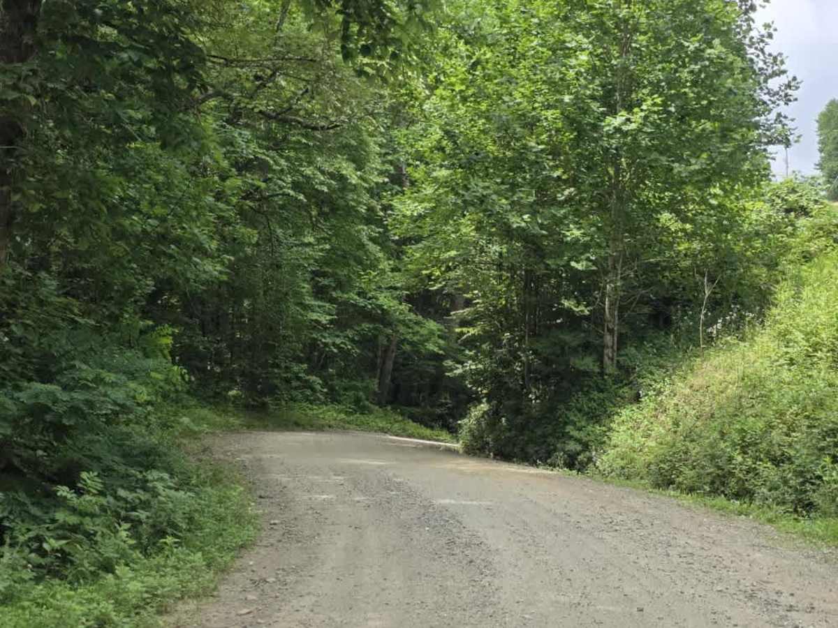 Little Creek Road photo 2
