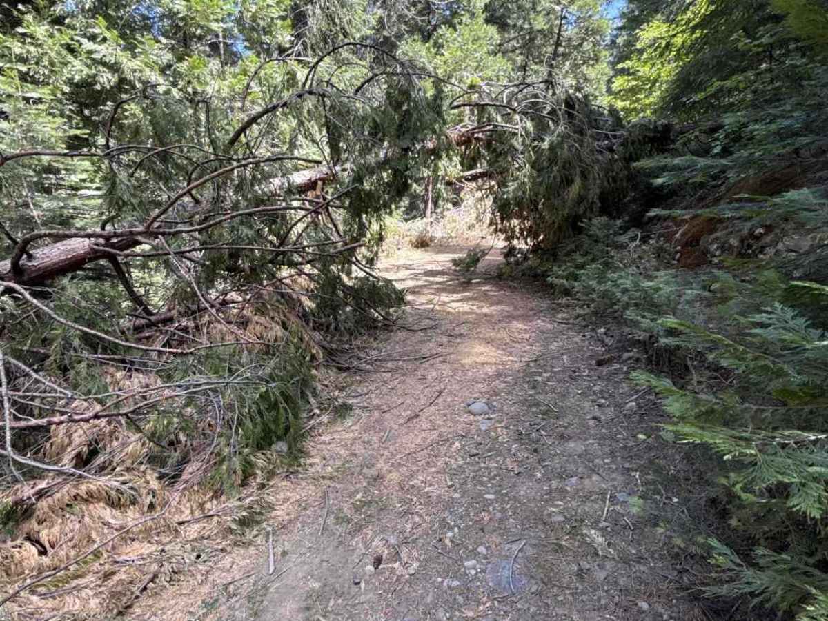 FS 3N30 trail photo