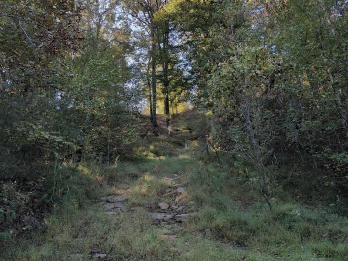 #102 Jake's Hill photo 5