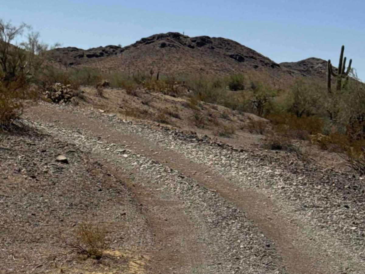 Desert Crossroads photo 2