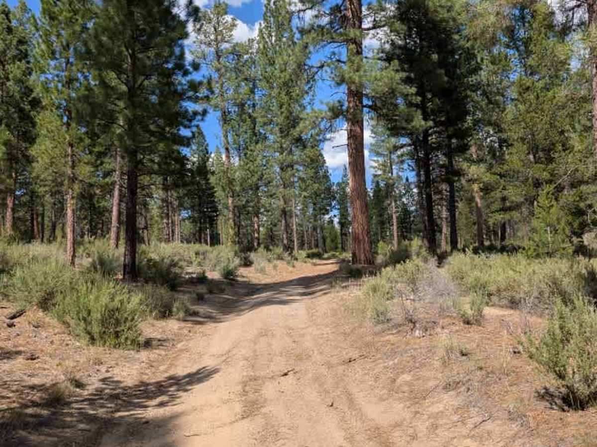 FS 4503270 trail photo