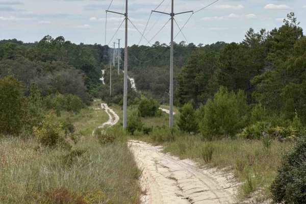 Tinsley Powerline Road