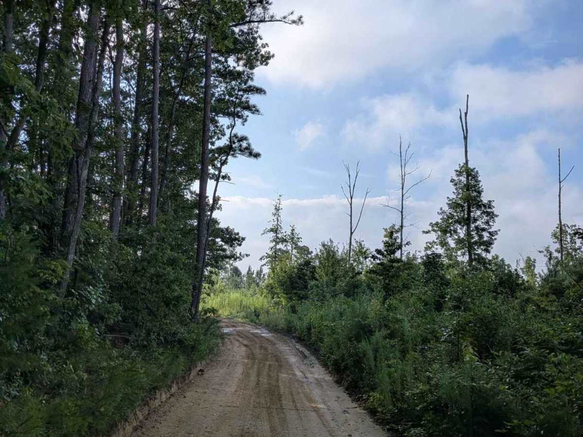 Braddison Branch Road photo 3
