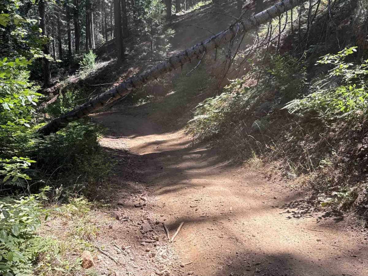 FS 5N41Y trail photo